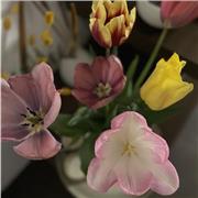 Laureanda in Scienze Biologiche offre ripetizioni di Scienze, Chimica, Matematica, Fisica